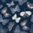 Bild von 